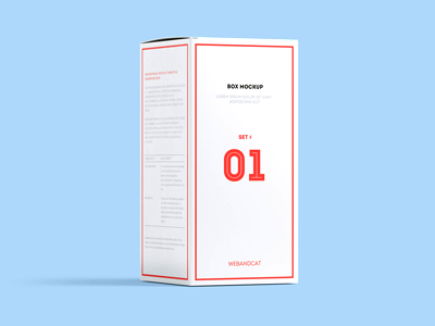 Download Package Box Mock-up, Set 1: Rectangle box by webandcat on ...