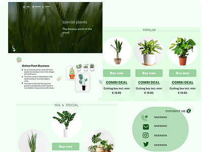 my first project:)"green whaet" design icon typography ui ux