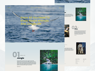 Animals And Jungle life Landing page app design interaction design product design ui ux