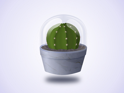 Cactus illustration adobe photoshop art cactus design graphic design graphic designer illustration