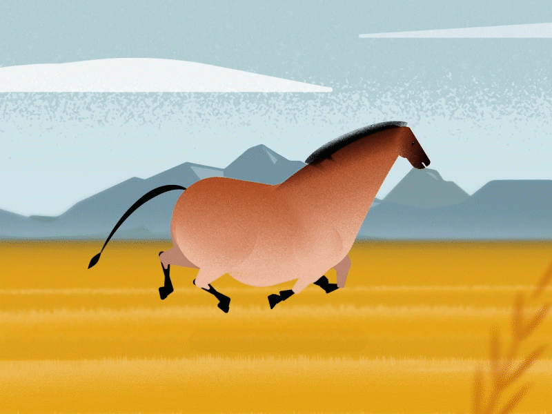 Lascaux Stallion Galloping after effects illustration motion design
