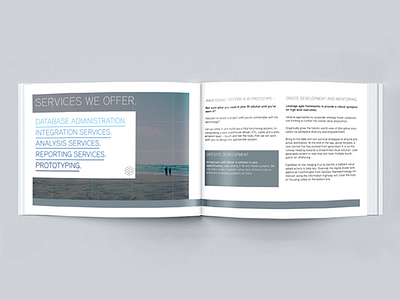 Immersant brochure / leaflet concept concept design leaflet