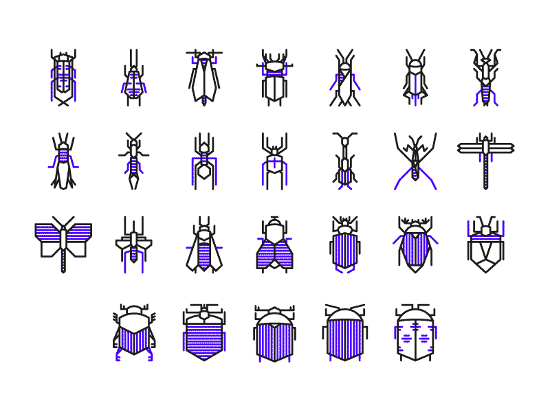 Insect Icon Set bee bug butterfly dragonfly geometric icon insect line linear logo wings