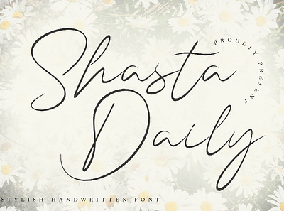 Shasta Daily graphic design handwritten logo script signature