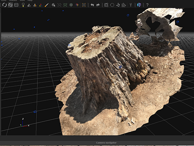 Photogrammetry - Stump 3d photogrammetry