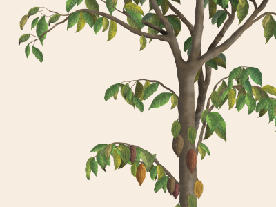 Tree illustration drawing illustration tree