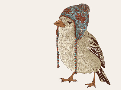 Birld in a hat bird cute hat illustration sparrow winter wonderful day