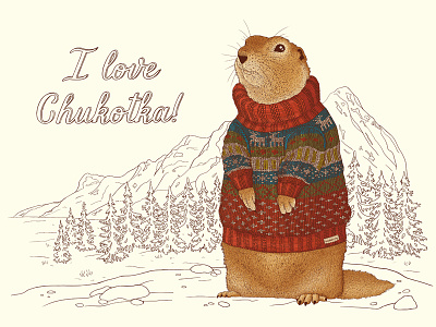 Arctic ground squirrel in a knit sweater from Chukotka
