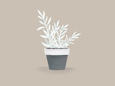 Senecio Haworthii illustration plant procreate succulent white