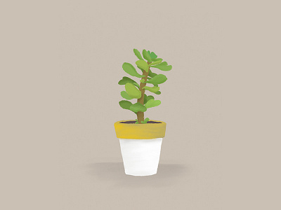 Portulaca Molokiniensis hawaiian illustration plant procreate succulent