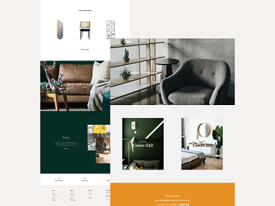 Canes - Landing page Concept & e-commerce Template branding design figma product design typography ui ux uxui web webdeisgn webdesign webdesigner