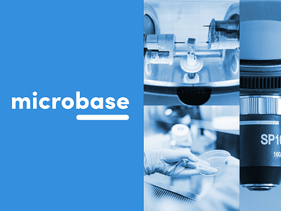 microbase - Branding exploration app branding design icon identity logo typography vector website