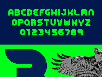 Seahawks Font custom custom lettering custom type customtype football lettering nfl nike numbering numbers pnw seattle sport sports type washington