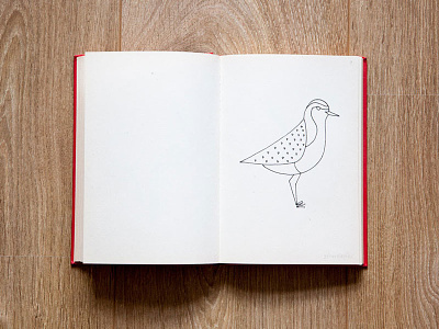 An exploration in coastal birds birds illustration minimalism pen