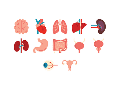 Medical icons - organs design graphic design icon illustration vector