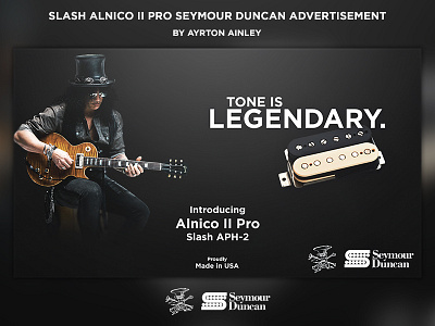 Slash Seymour Duncan Pickup Set Advertisement design dvertisement gibson graphic guitar les music paul rock signature pickups slash