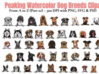 Watercolor Dog Breeds Clipart a-Z Part 1 animation branding bundle design illustration logo template vector