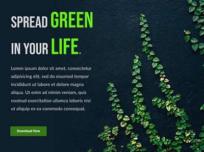 Go Green figma frontend graphic design ui uiux uiuxdesign webdesigner webdeveloper websitedesign