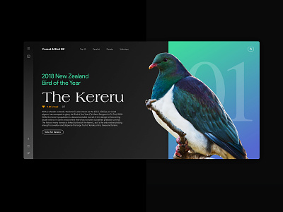 Bird of the Year website concept design interface photoshop sketch ui webdesign website