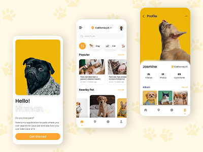 Pet Care App Design & Development