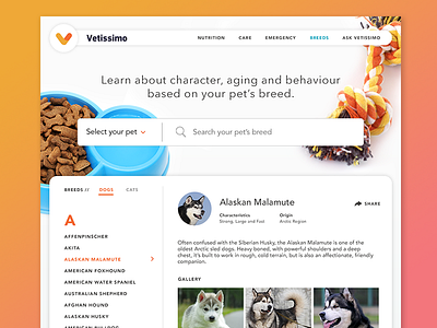 Vetissimo articles pets search ui veterinary web