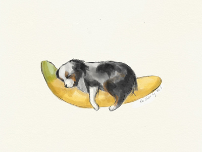 Mr. Charlie banana character cute dog illustration puppy sleep sleepy tired watercolor