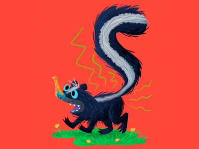 Skunk animal skunk