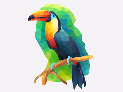 My poly Artbook turtle bird bird illustration lowpoly playgendary poly tukan vector