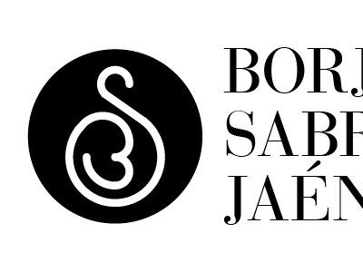 BS logo logotype type