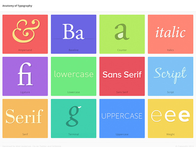Anatomy of Typography