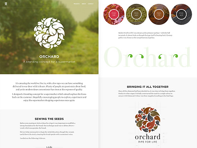 Matt And Design - Orchard branding case study portfolio project website