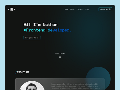 Developer's portfolio