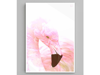 "Pink Flamingo"