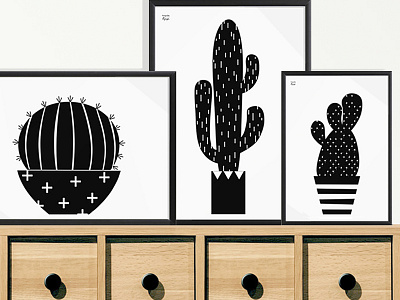 Kaktusy black cactus flower illustration pot spikes