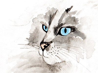 Blue-eyed Cat akwarela blue cat eye kot watercolor