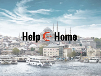 Logo Turkey website