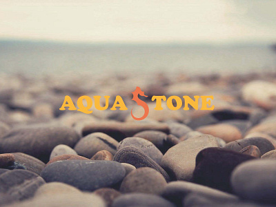 Logo "Aqua Stone" design logo vector