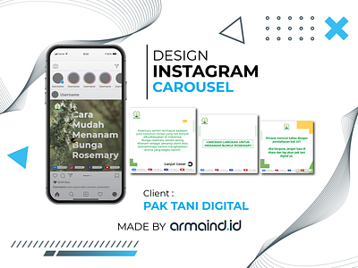 Social Media Feed/Carousel