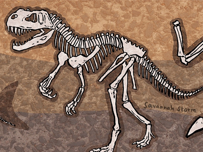 Jurassic Fossils childrens illustration educational illustration fossils illustration non fiction books uk illustrator