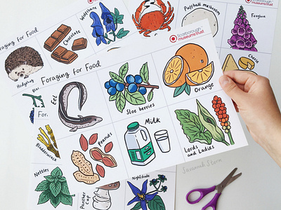 Foraging for Food - Learning Activity childrens illustration educational illustration food illustration illustration learning activity recipe book illustration uk illustrator worksheet design