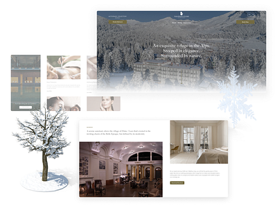 Hotel booking landing page with a winter theme accessibility animation booking design hotel landing ui web design website