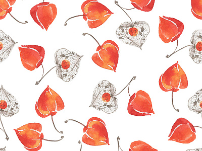 Physalis watercolor pattern