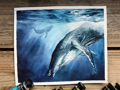 Watercolor Whale aquarelle art hand drawn illustration watercolor whale