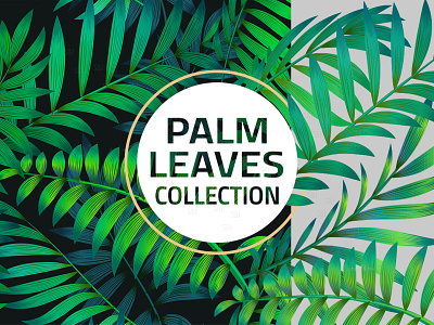 Palm leaves, elements and patterns