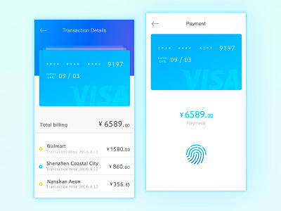 Credit Card Checkout- Daily UI #002 card credit daily ui