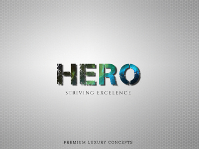 Premium Logo Design Artwork Concept