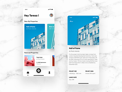 Decree apartament app building buy colors housing interaction iphone minimal rent ui uidesign ux