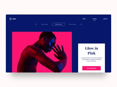 Hog artwork colors design ecommerce interaction landing page minimal photograhy photographer photos ui uidesign ux website