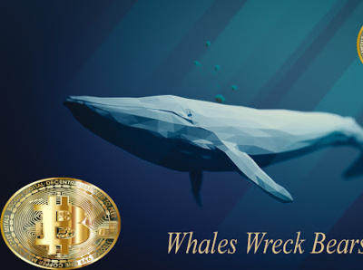 Bitcoin whales have become active once again...... bitcoin branding crypto cryptocurreny metaverse nft