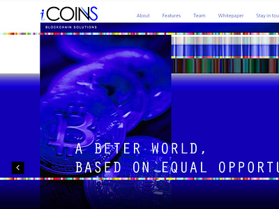 iCOINS website